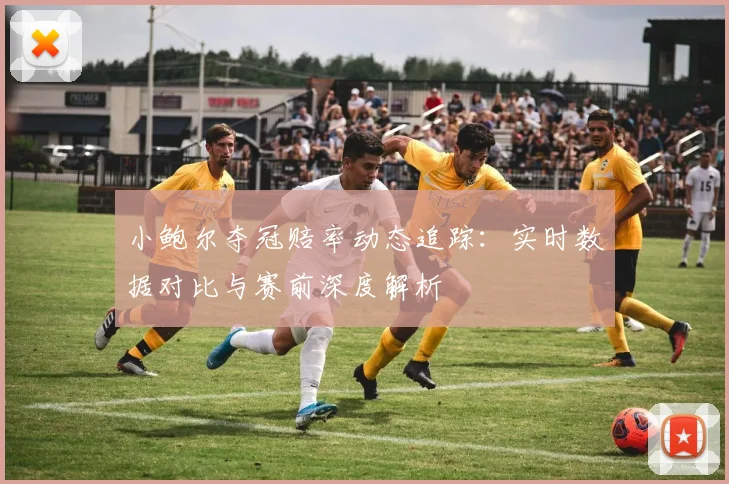小鲍尔夺冠赔率动态追踪：实时数据对比与赛前深度解析